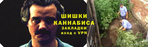 спиды Бронницы