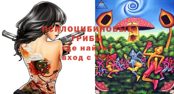 спиды Бронницы