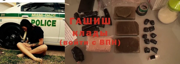 прущий лед Бородино