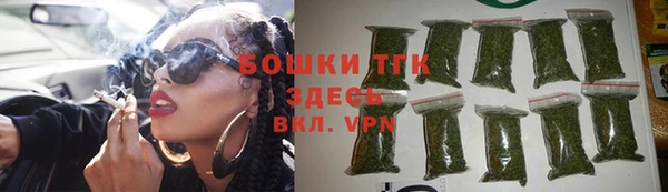 прущий лед Бородино