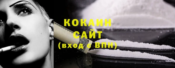 прущий лед Бородино