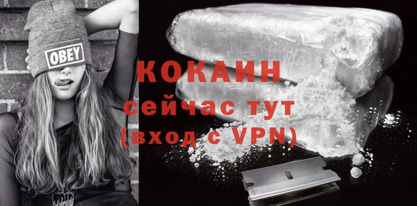 прущий лед Бородино