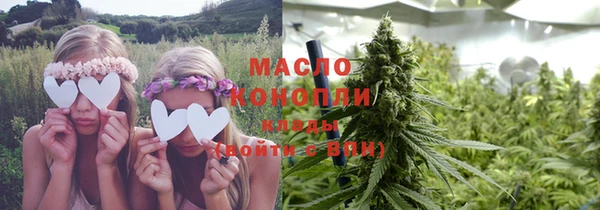 прущий лед Бородино
